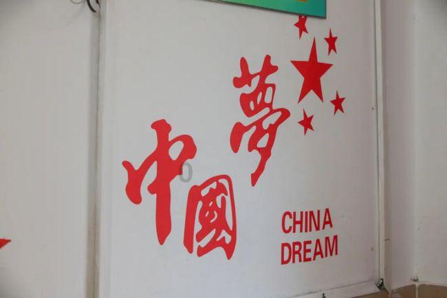 救援卷耳兔